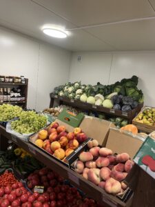 IMG_0139